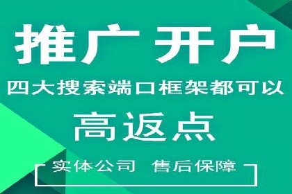 百度联盟推广网络覆盖的案例研究